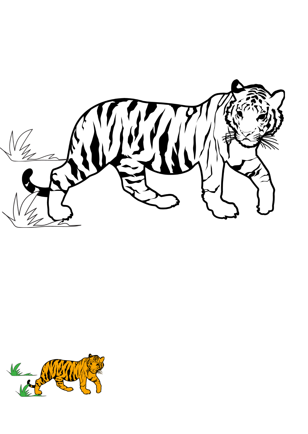 Free tiger coloring