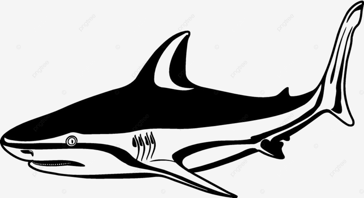 Vinyl printing vector hd images bull shark vinyl vectors prints animals allpu vectors png image for free download