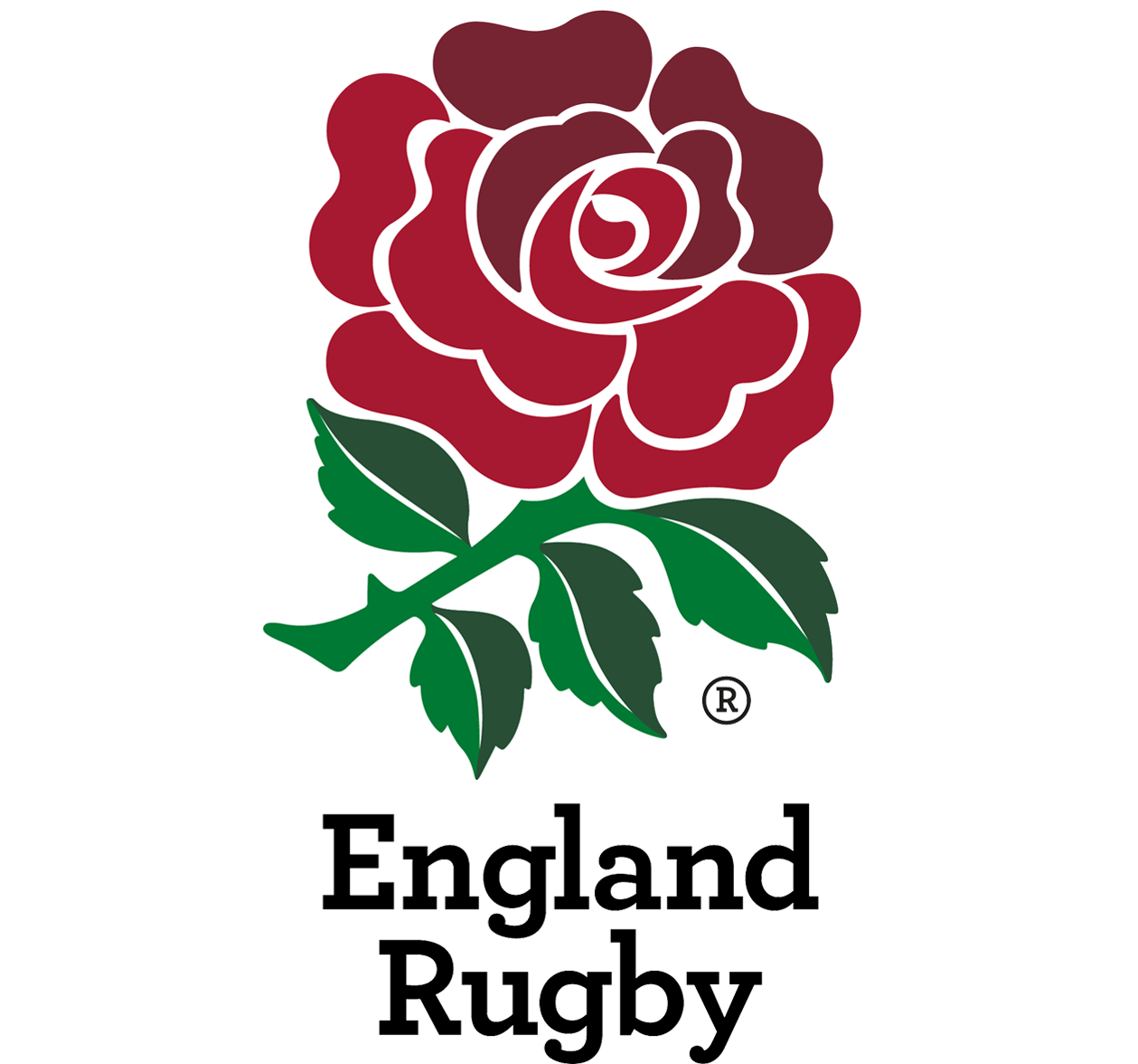 Six nations rugby