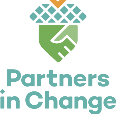 About partners in change