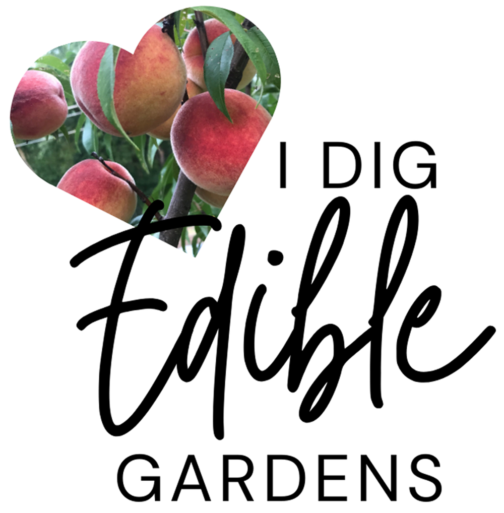 Gifts for garden lovers â daily harvest designs