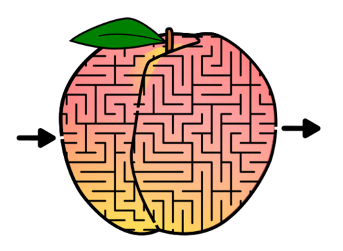 Fruits and vegetable mazes