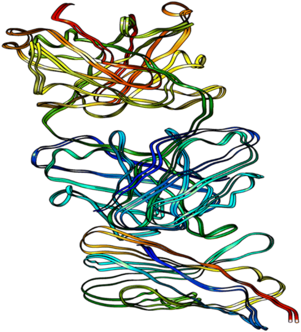 Structure based screening for inhibitory therapeutics of ctla