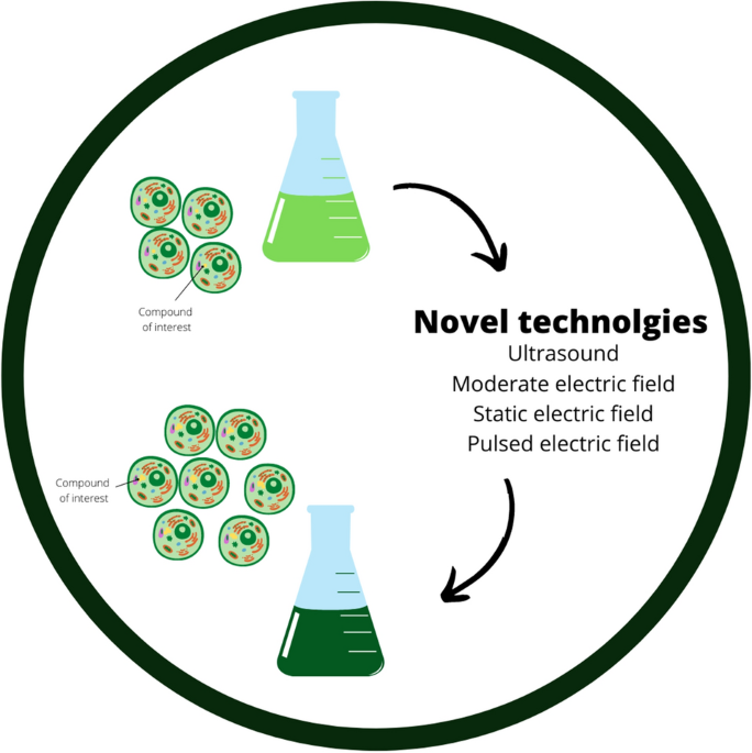 Impact of ultrasound and electric fields on microalgae growth a prehensive review