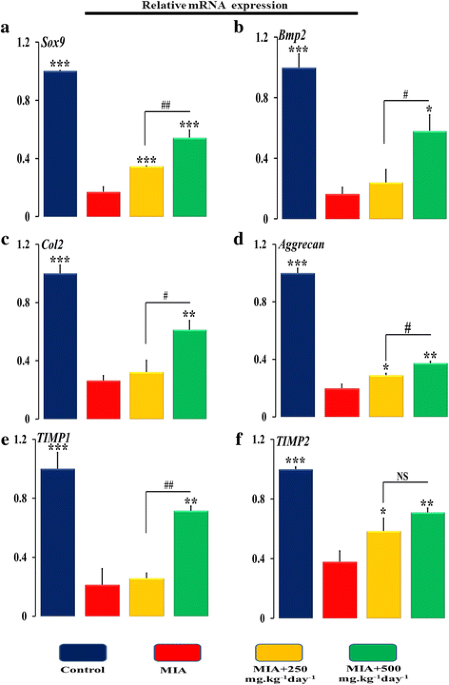 Spinacia oleracea extract attenuates disease progression and sub