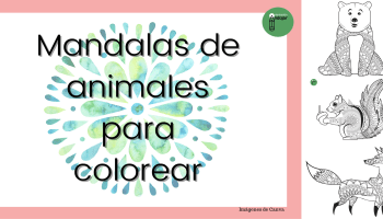 Bonitos mandalas de animal para colorear