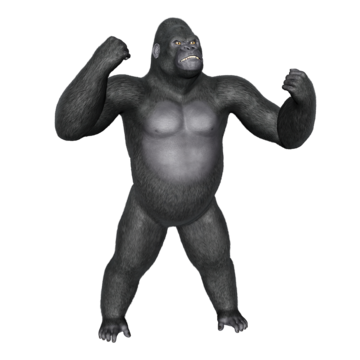 Angry gorilla png vector psd and clipart with transparent background for free download