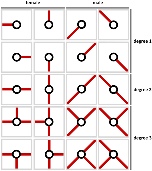 Family metro maps journal of visualization