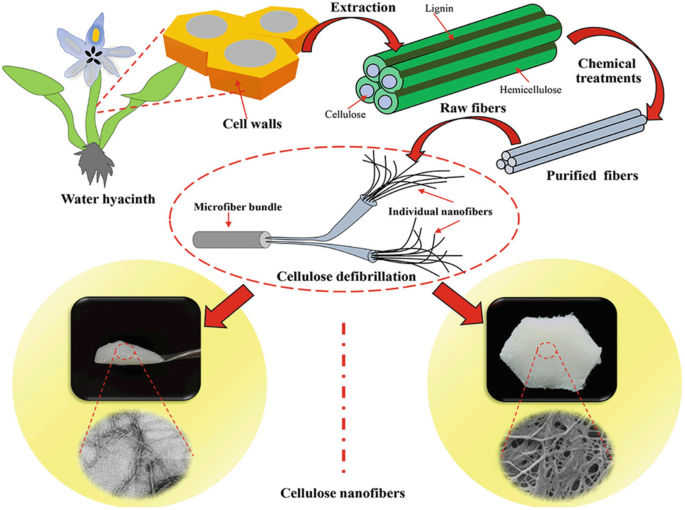 Nanostructured cellulose extraction and characterization