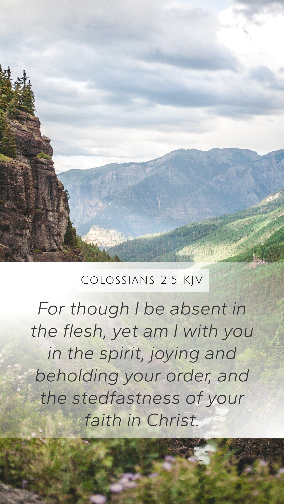 Colossians kjv mobile phone wallpaper