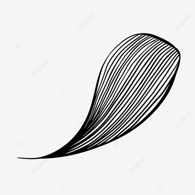 Abstract wall art vector design images abstract waves black and white line art decoration for wallpaper and wall art design wall drawing wall sketch decoration png image for free download