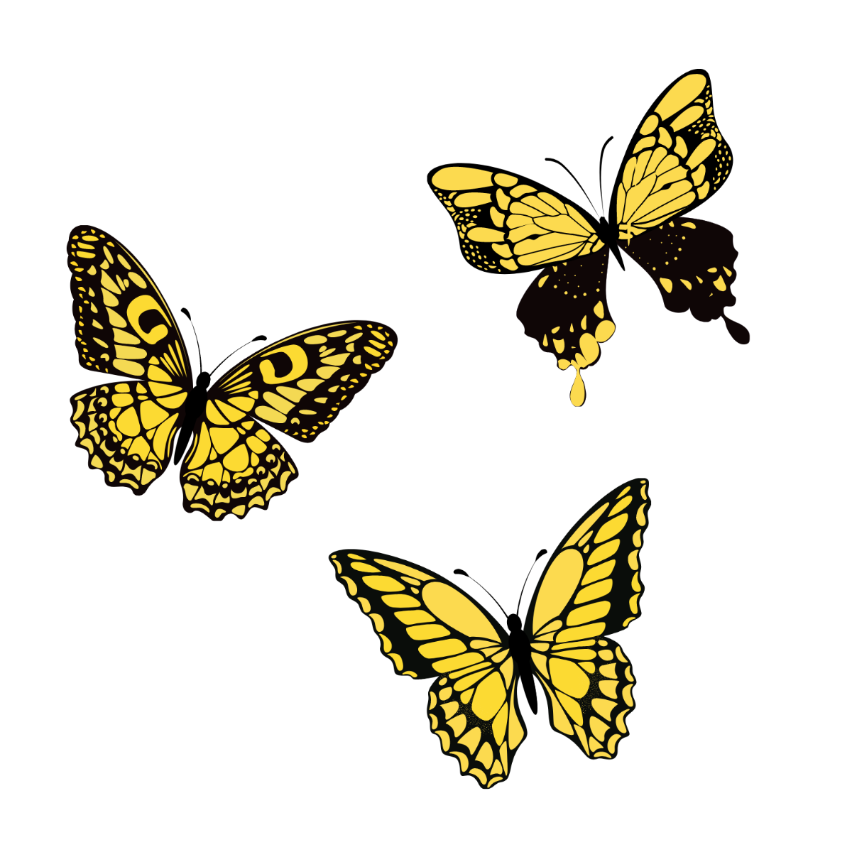 Free butterfly vector