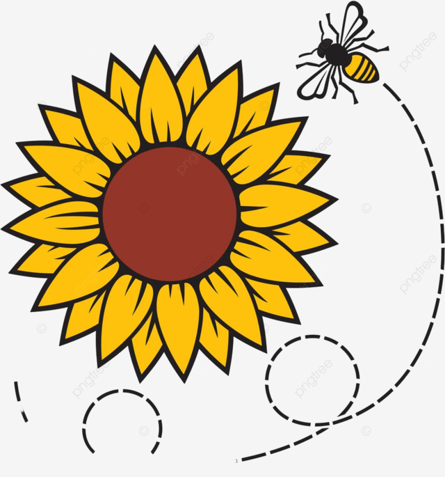 Bee sunflower vector hd images sunflower and flying bee color vector honeyb organic bumblebee png image for free download