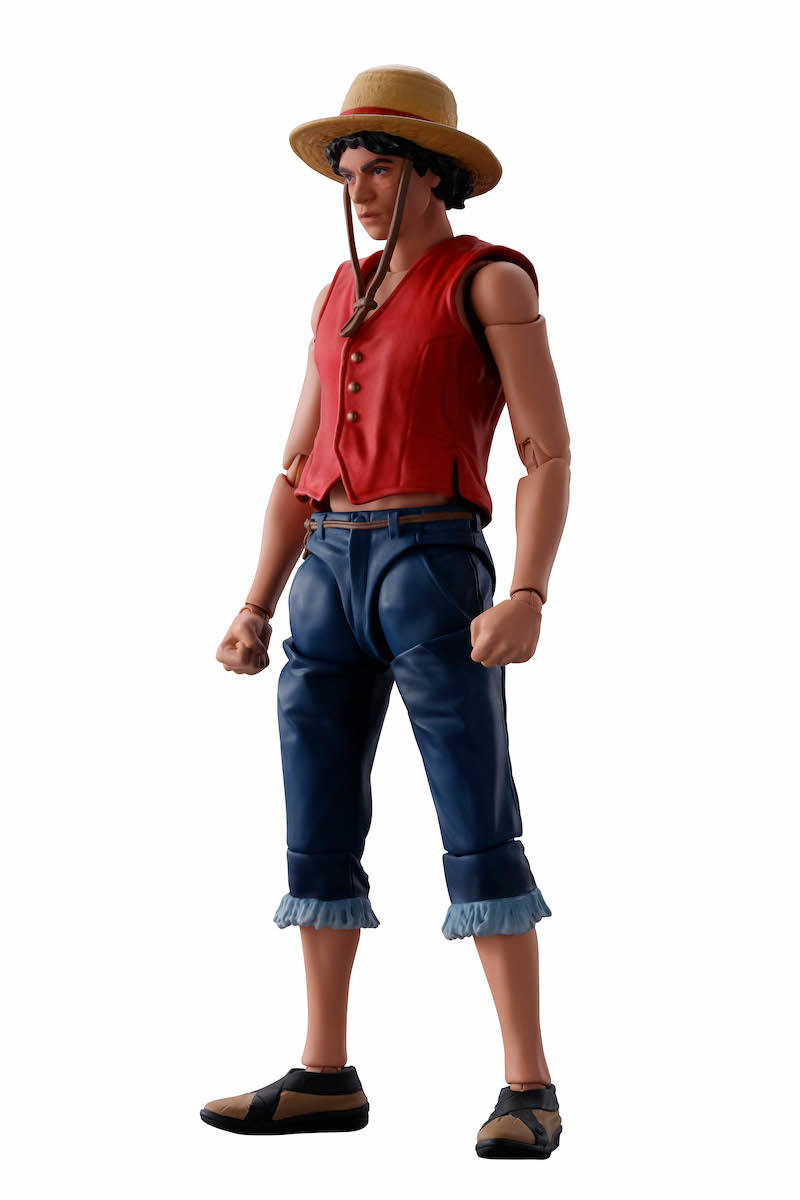 Sh figuarts one piece one piece wiki