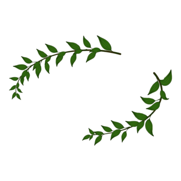 Green laurel wreath clipart images free download png transparent background