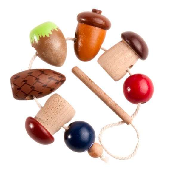 Developmental wooden toys