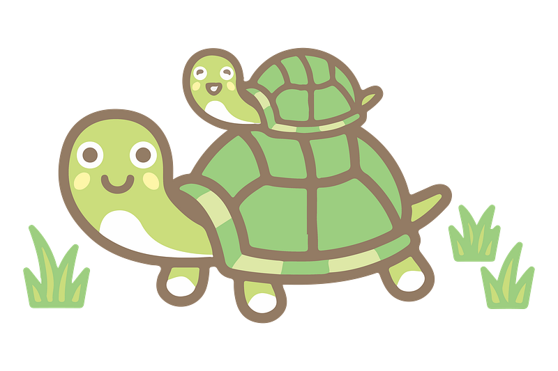 Turtles images free hd backgrounds pngs vectors illustrations