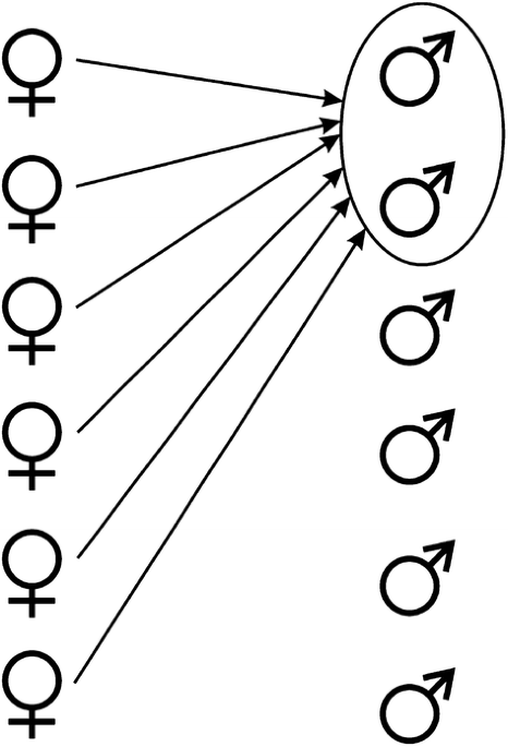 Hominid sexual nature theory in biosciences