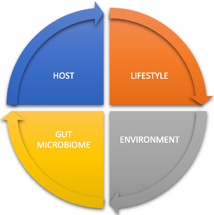 Gut microbiome and its role in colorectal cancer bmc cancer full text