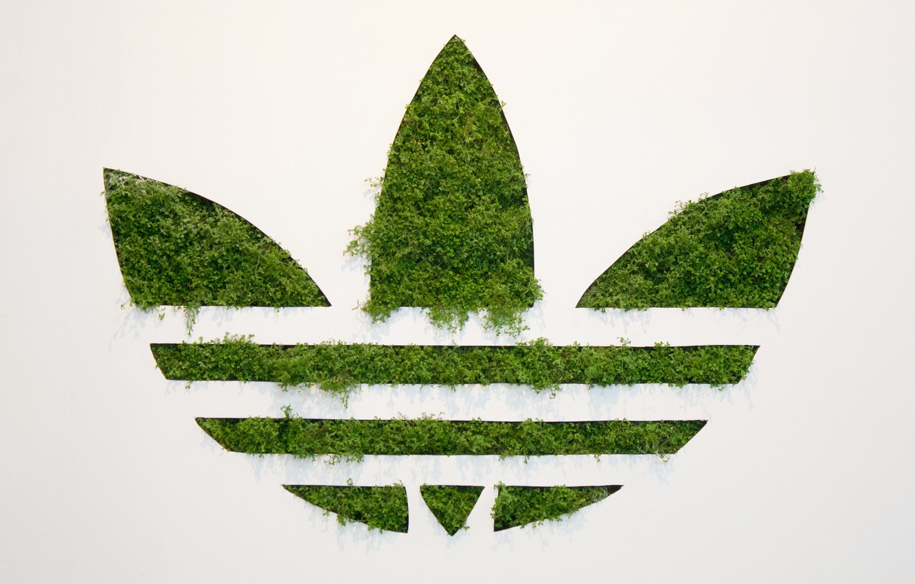 Wallpaper grass background adidas logo adidas originals images for desktop section ññððñ