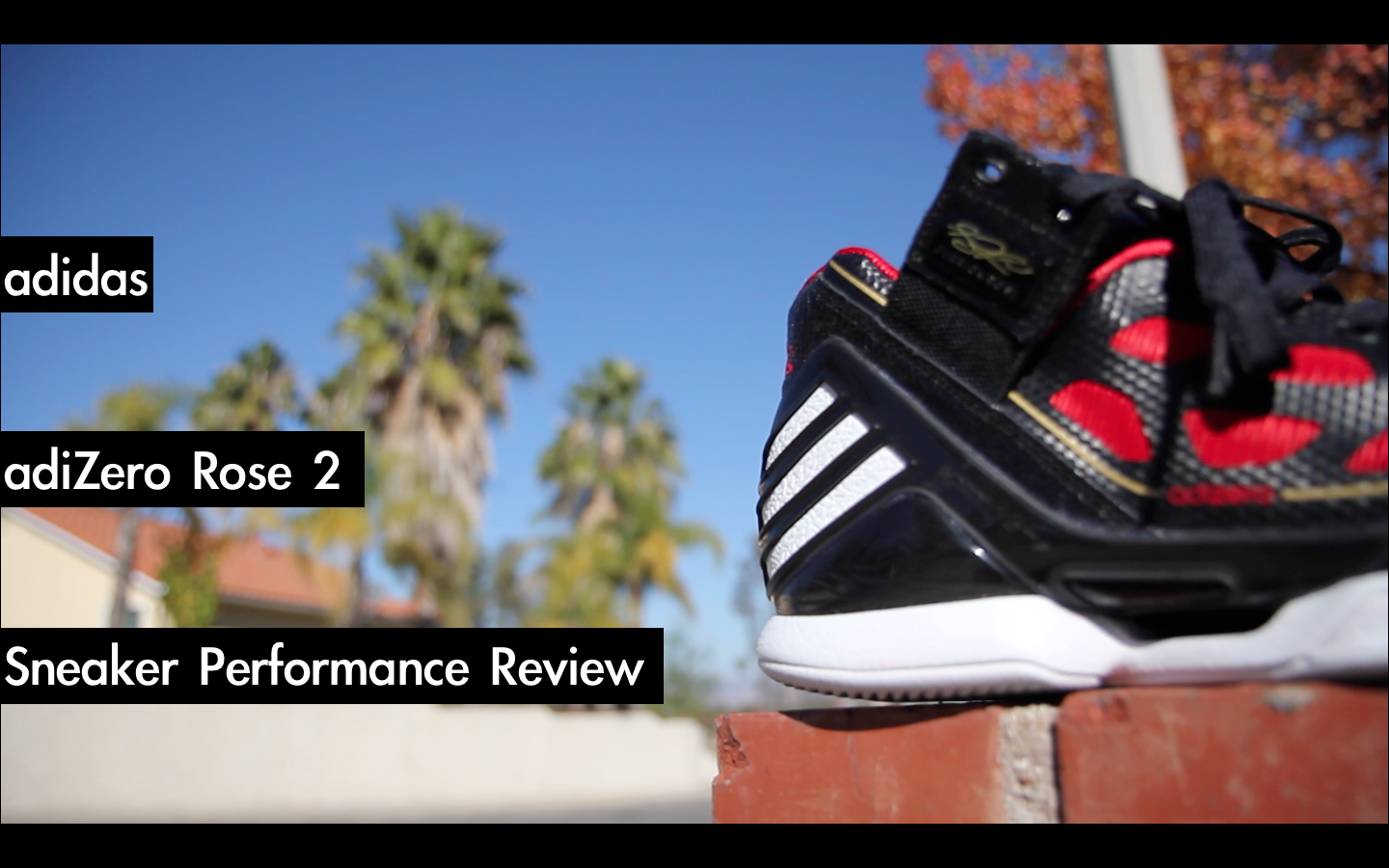 Adidas adizero rose sneaker performance review â