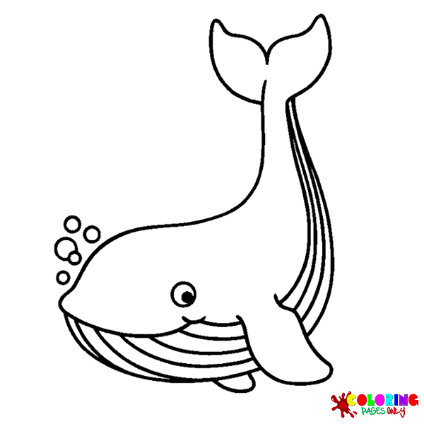 Whale coloring pages