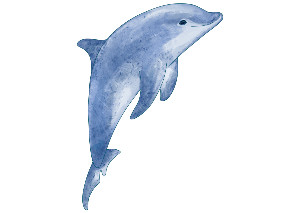 Baby blue whale png transparent images free download vector files