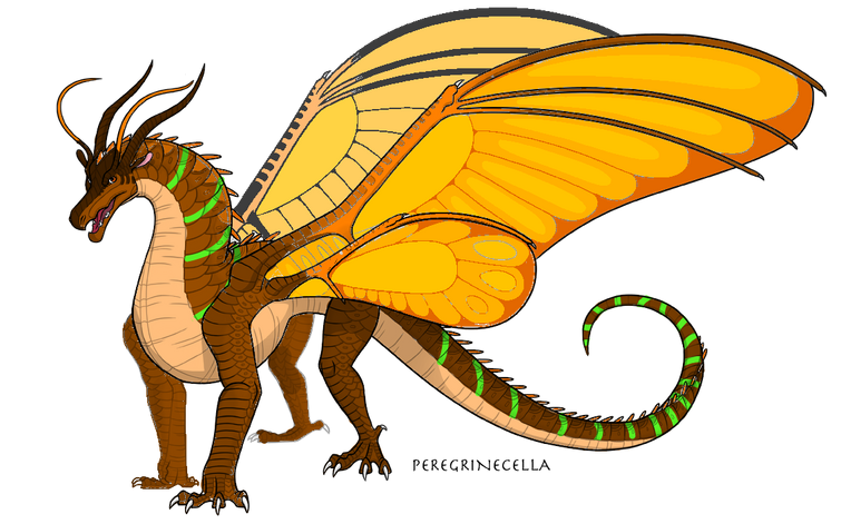 Discuss everything about wings of fire wiki