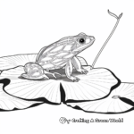 Frog on lily pad coloring pages