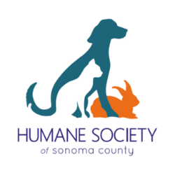 Santa rosa ca animal shelters rescues