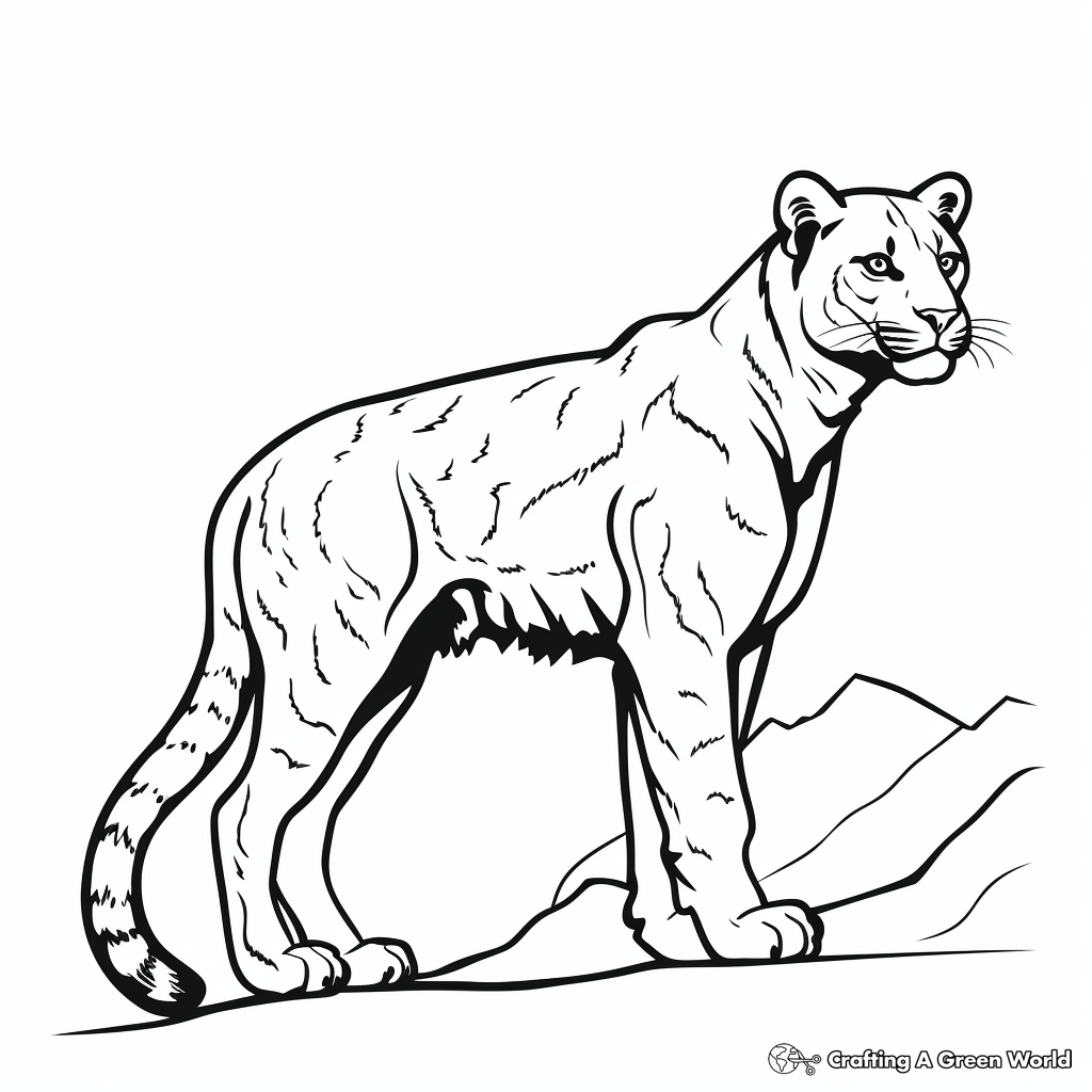Mountain lion coloring pages