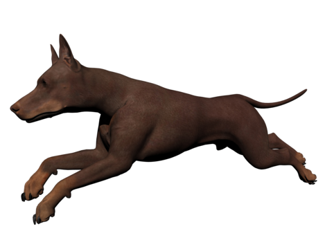 Dog jump png transparent images free download vector files