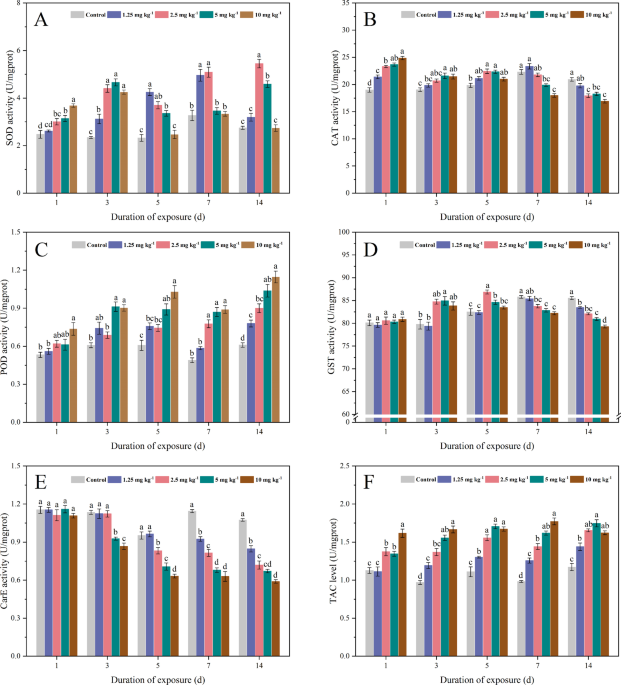 Behavioral histopathological genetic and organism