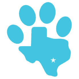 Blood in dogs stool and urine â what is causing it texas pet pany