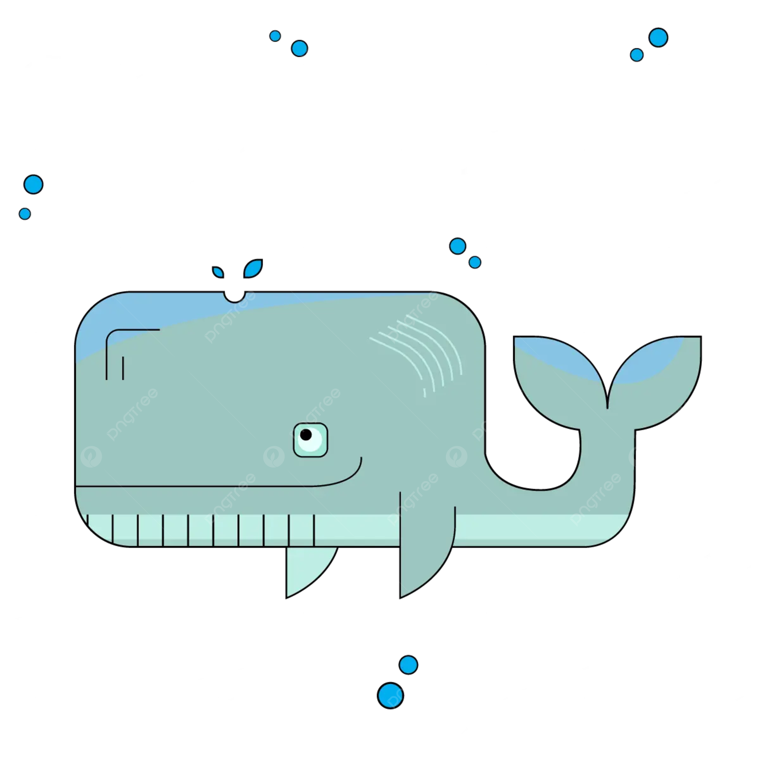 Humpback whale png transparent images free download vector files