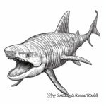 Basking shark coloring pages