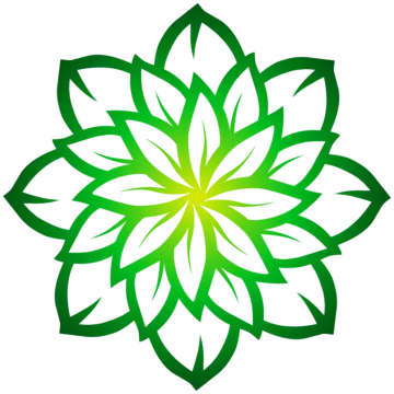 Mandala drawing png transparent images free download vector files