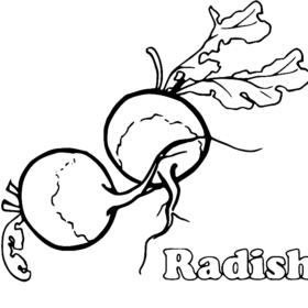 Vegetable coloring pages printable for free download