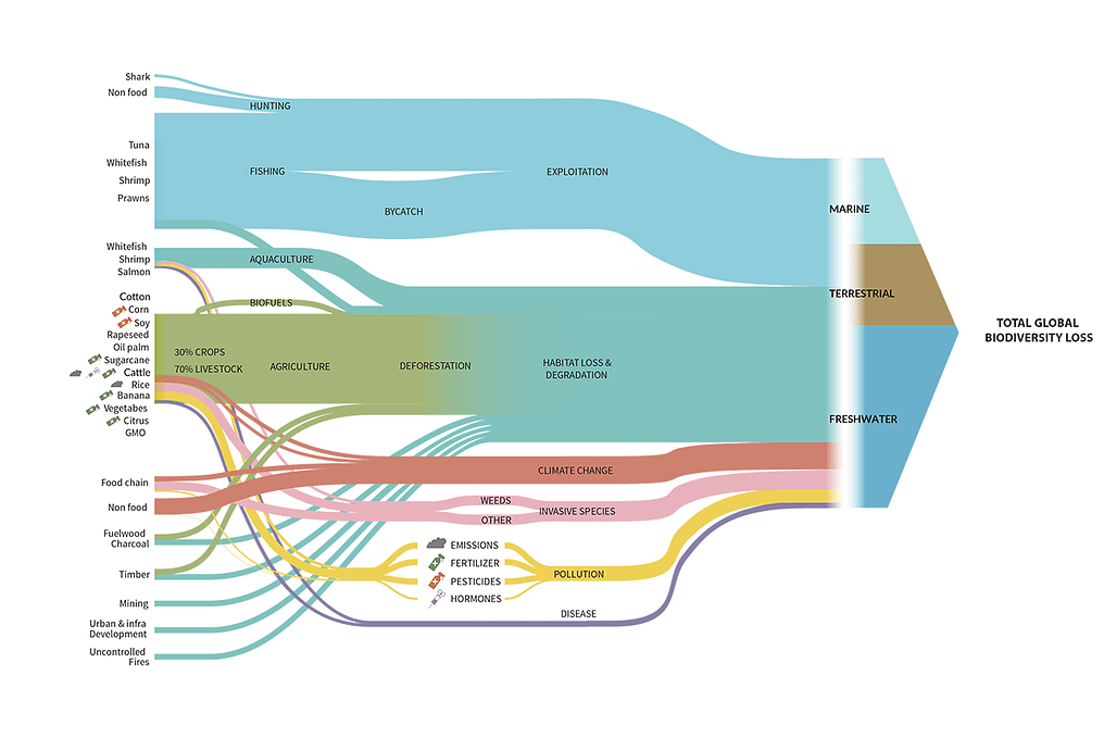 The global food system trends impacts and solutions