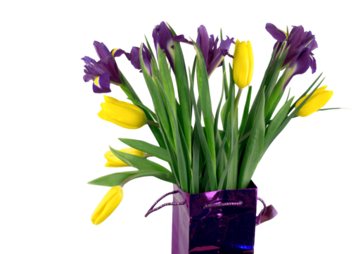 Irises png vector psd and clipart with transparent background for free download