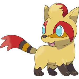 Coondle darkandwindie fakemon wiki