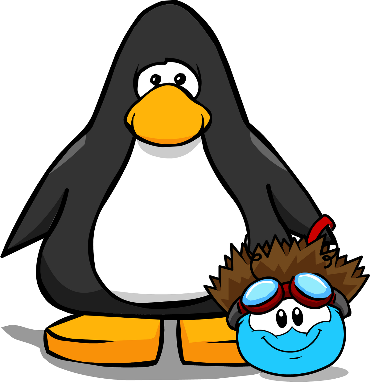 Shock of hair club penguin wiki