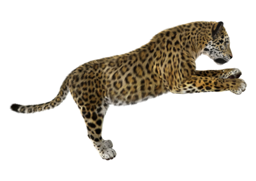 Jaguar png transparent images free download vector files