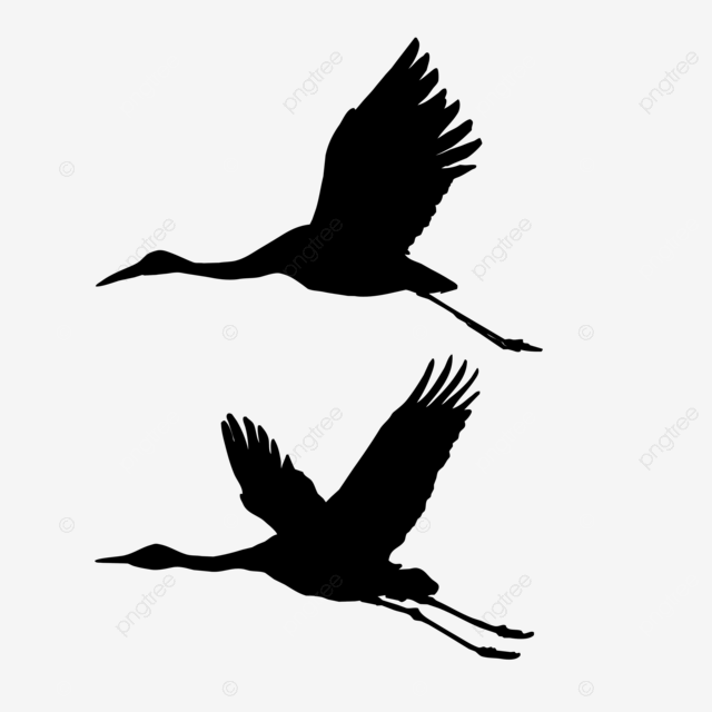 Silhouetted flying cranes in vector standing alone on a animals pattern birds png transparent image and clipart for free download