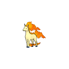 Rapidash pokãmon