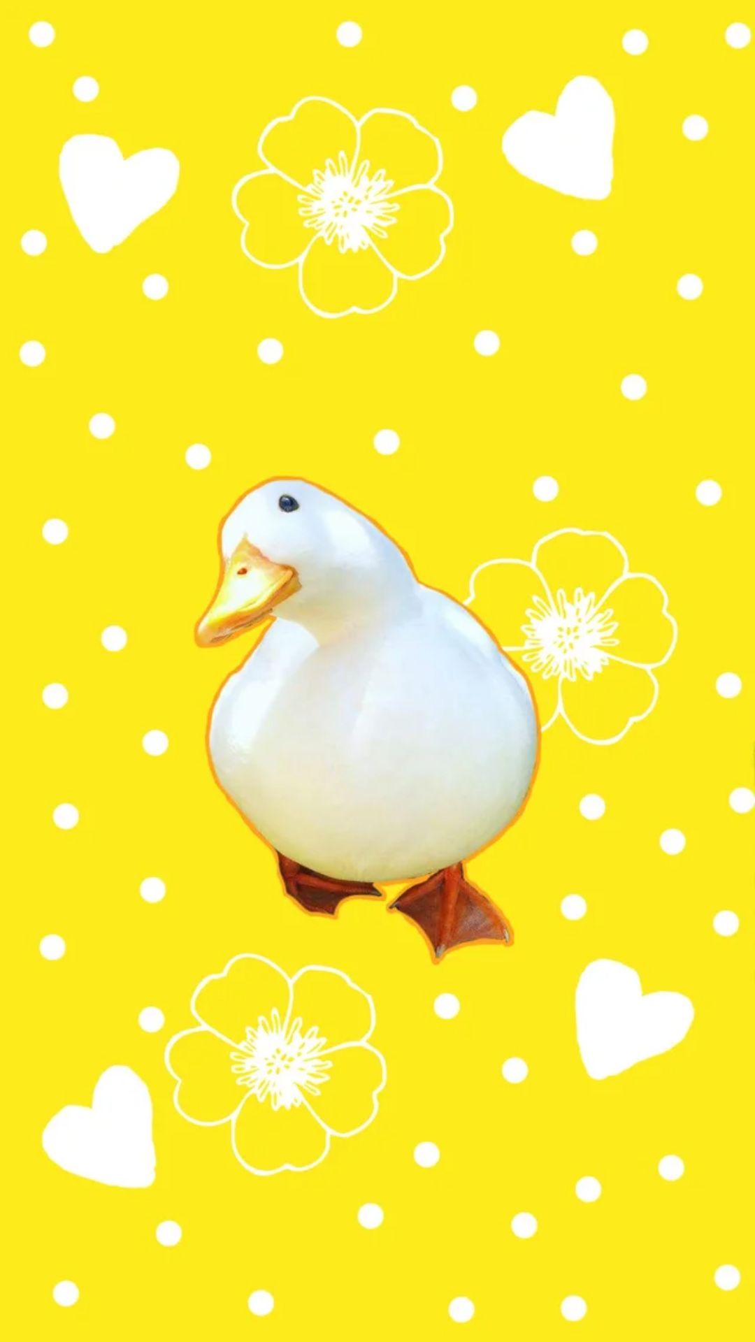 Download Free 100 + aesthetic duck Wallpapers