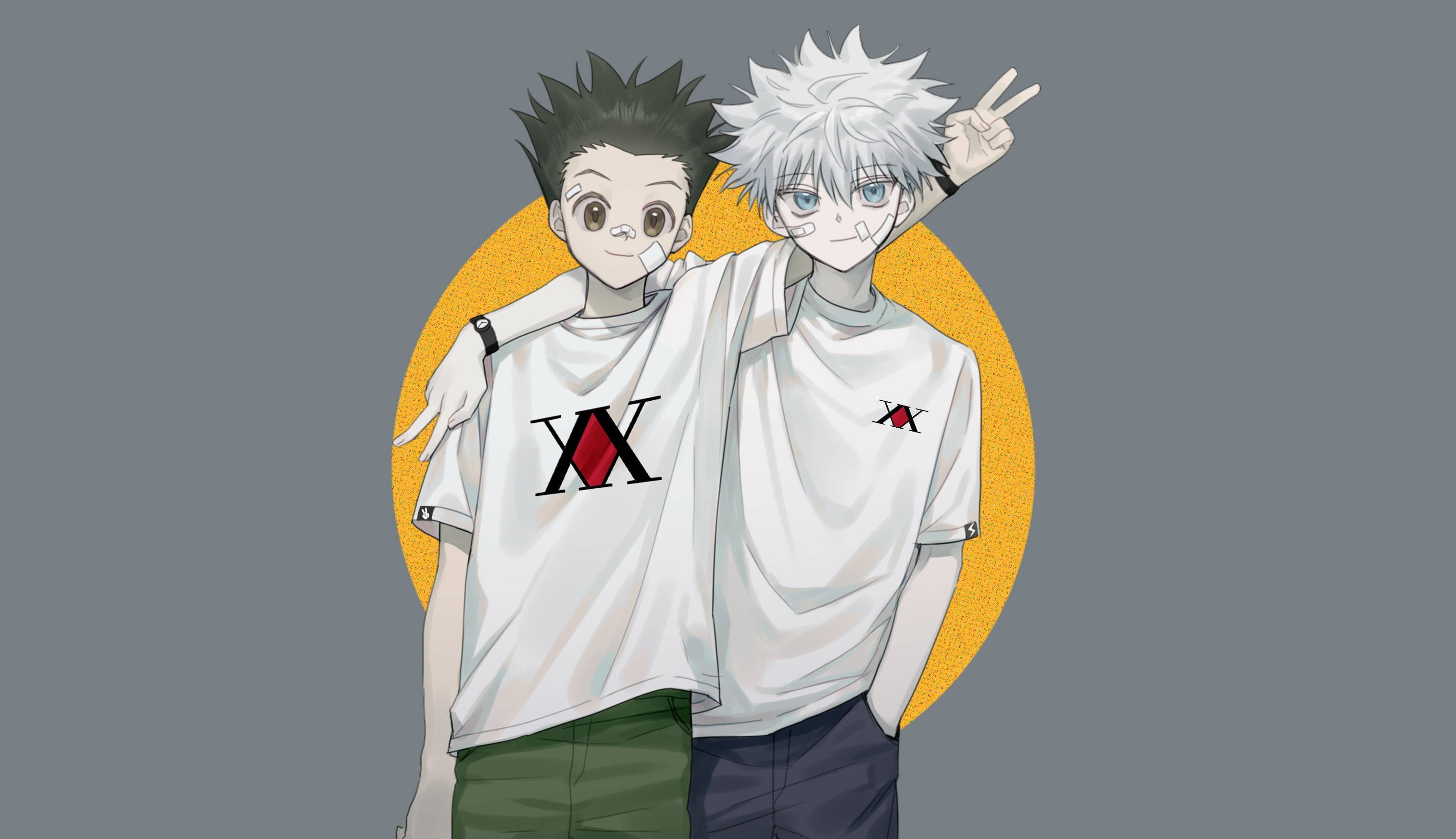 Download modern gon and killua desktop wallpaper