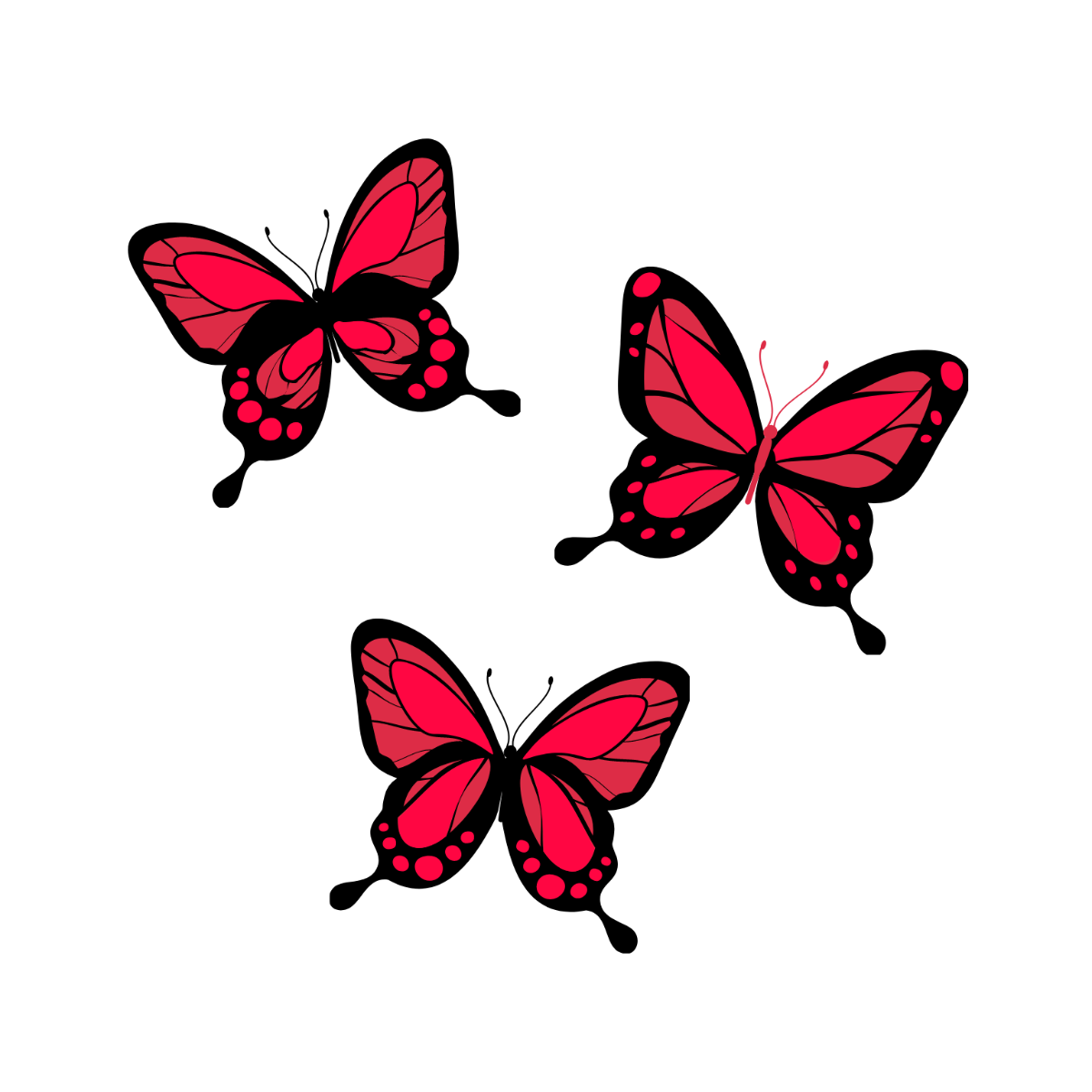 Free butterfly