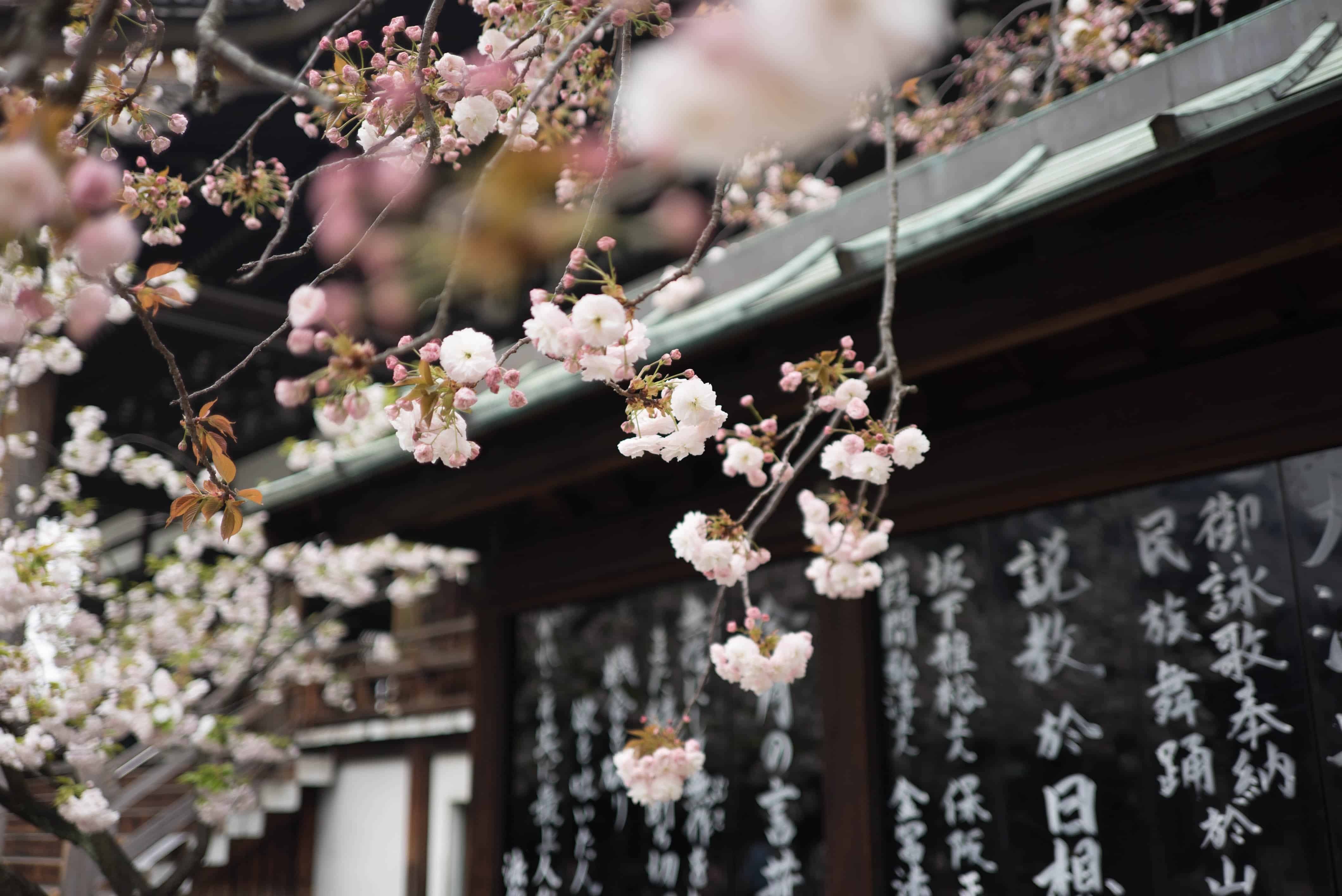 Beautiful and untranslatable japanese words