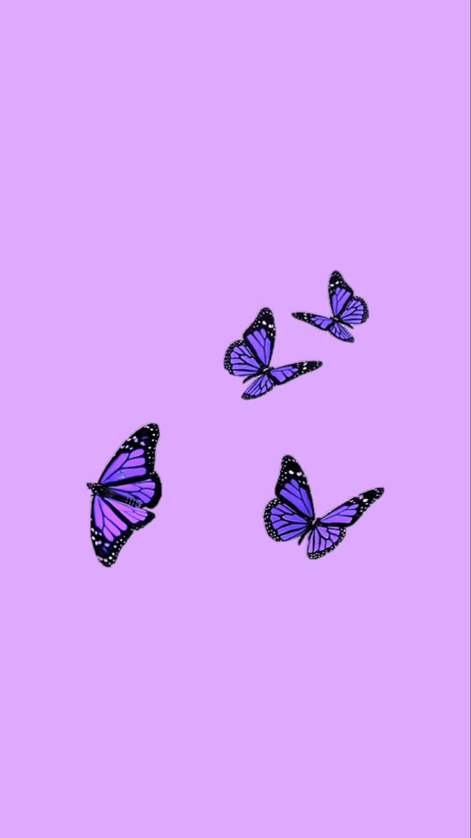 Download Free Aesthetic Purple Butterfly Wallpapers